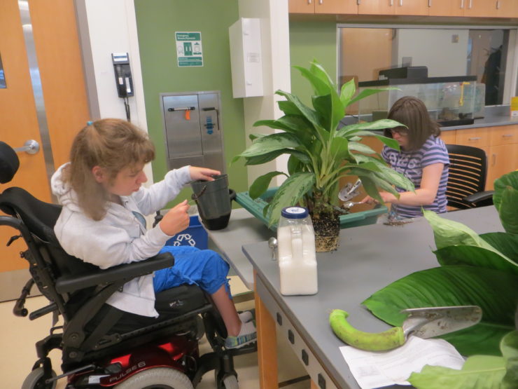 A student using a wheelchair while working on plants in a science lab